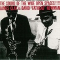 David Fathead Newman - What's New?