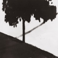 Camera - Rumeurs