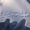 去年的一场雪