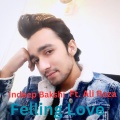 Indeep Bakshi、Ali Raza - Felling Love