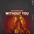 Without You