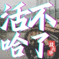 段兴华 - 活不哈了