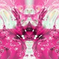 Pink Cloud