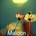 Maloon、Dancun Otieno Omondi、Masauti、Bien、Zinoleesky - Namaste (feat. Masauti,Bien & Zinoleesky)