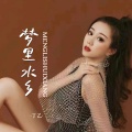 丁乙 - 梦里水乡