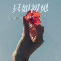 曹燕飞 - 只如初见