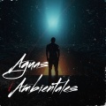 Aguas Ambientales