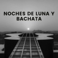 Noches de Luna y Bachata