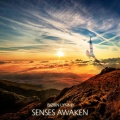 Senses Awaken