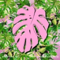 Ambient Sol、Hammock - Transformation Transformed