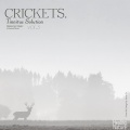 힐링 네이쳐 Nature Sound Band - Crikets Time for Study