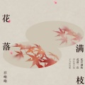 花落满枝 (DJ范小松版)