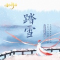 踏雪 (DJ范小松版)