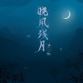 晓风残月 (DJ范小松版)