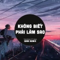 Qinn Media - Không Biết Phải Làm Sao (Qinn Remix)