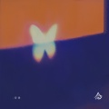 安扬 - 念