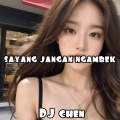 DJ Chen - SAYANG JANGAN NGAMBEK