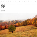 窦金宝 - 程艾影
