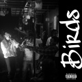 Kevin Mawejje、Matt Travers - Birds (feat. Matt Travers) (Explicit)