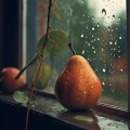 Lluvia Concentrada: Sonidos De Concentración Ambiental