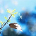 孙晓杰 - 春野