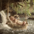 Stream Dreams: Soothing Baby Sleep Tunes