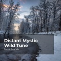 Distant Mystic Wild Tune