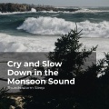 Thunderstorm Sleep、Thunderstorm、Thunder Storms & Rain Sounds - Mellow Night Thunder