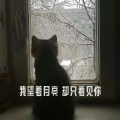 DJ阿心 - 十年之后 你还会记得我吗
