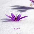 春色撩人