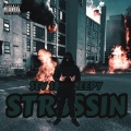 $EV $EV $LEEPY - STRESSIN 3