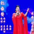 侯丽娟 - 红梅赞