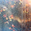 Lluvia Relajante、Haya Sounds、Cumulus Clouds、From a Field、Daily Calm - Dormir Tranquilamente con Lluvia Relajante, Pt. 10