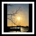 Nevvaro - Metairie