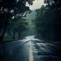 Focused Rain: Calming Music for Concentration