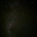 乌鸦说情话铁树开了花