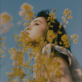 可乐略略 - Paper Hearts