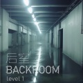 Level1