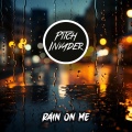 Pitch Invader - Rain On Me