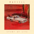 Study Of Life