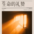 于晓光 - 生命的礼赞