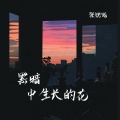张晓晗 - 黑暗中生长的花