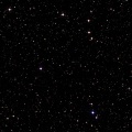 安屿柚.、陈幼琪 - 星空叙爱曲