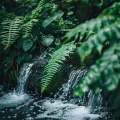 Río Gentil: Corrientes Apacibles Para La Relajación