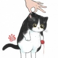 蒜扮~~、泠然LR - 最美的期待