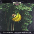 Pokérus Project - Forest Interlude (Progressive Rock Version)