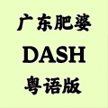 Dash