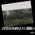 秦靖淳 - 容易受伤的女人