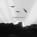 Stormy wild