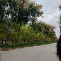 马泊 - 满洲里